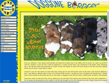 Tablet Screenshot of doggoneborders.be